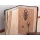 Álbum de Historia Natural (Diccionario pintoresco de Historia Natural. Dios y sus obras)