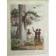 Field Sports of the Native Inhabitants of the New South Walles