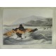 Field Sports of the Native Inhabitants of the New South Walles
