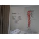 Traité de Médecine Chinoise. Acupuncture, Moxas, Massages, Saignées d´après les textes chinois ...