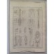 (Anatomía) Tab. IV