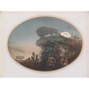 CHASSE AU LION