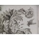 Aves, mariposas y motivos vegetales