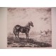 ( Caballos en un prado )