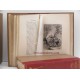 (1910) The History of the Ingenious Gentleman Don Quixote of La Mancha