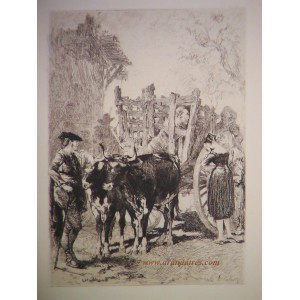Don Quijote