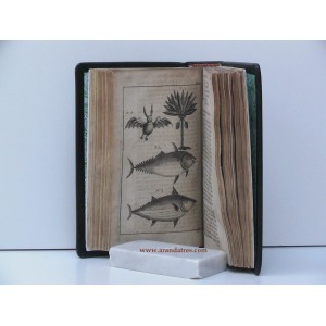A Voyage to the South Sea, and Round the World, perform’d in the Years 1708, 1709, 1710 and 1711