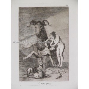 Ensayos (Caprichos 60)