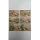 (6 cromos) Fauna, flora, paisajes y habitantes de Venezuela