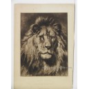 León / His Royal Highness 