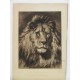 León / His Royal Highness 