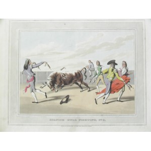 SPANISH BULL FIGHTING 
