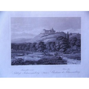 Schloss Johannisberg (Rhein) 