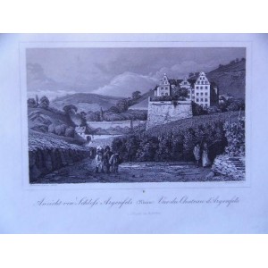 Ansicht von Schloss Argenfels (Rhein) 